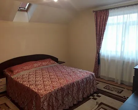 Πανσιόν Pensiunea Salauta 3*