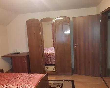 Πανσιόν Pensiunea Salauta 3*