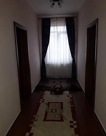 Πανσιόν Pensiunea Salauta 3*